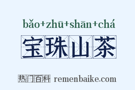 宝珠山茶是什么意思的图片